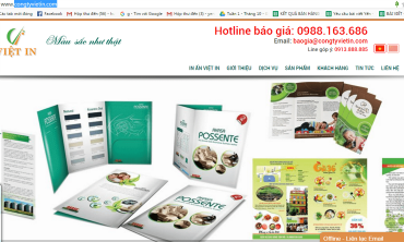 IN TỜ RƠI QUẢNG CÁO ĐÚNG THÔNG ĐIỆP CỦA BẠN!
