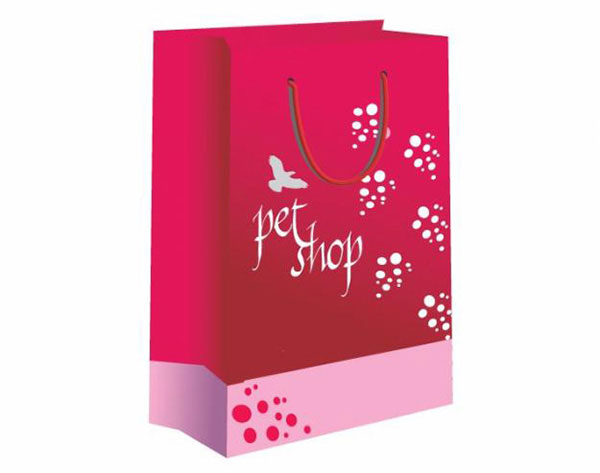 Mẫu túi giấy đựng quà tết đẹp 2019 3